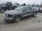 2010 Dodge Dakota SXT