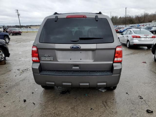 2011 Ford Escape XLT