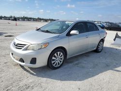 Salvage cars for sale at Arcadia, FL auction: 2013 Toyota Corolla Base