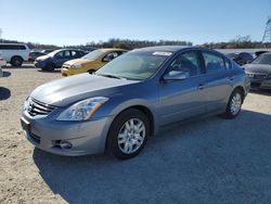 Nissan Altima Vehiculos salvage en venta: 2010 Nissan Altima Base