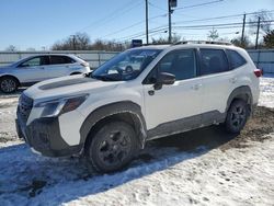 Carros salvage sin ofertas aún a la venta en subasta: 2023 Subaru Forester Wilderness