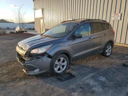 Salvage cars for sale at Mcfarland, WI auction: 2013 Ford Escape SE