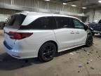 2023 Honda Odyssey SPORT-L