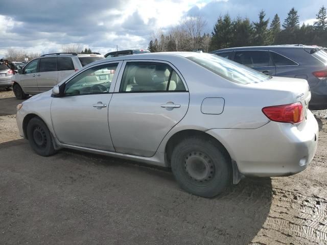 2009 Toyota Corolla Base