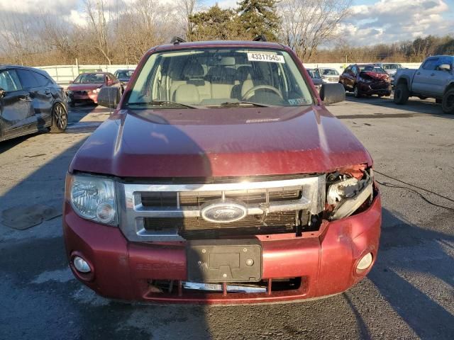 2008 Ford Escape XLT