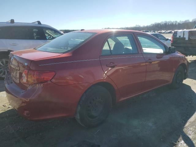 2010 Toyota Corolla Base