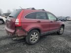 2007 Honda CR-V EX