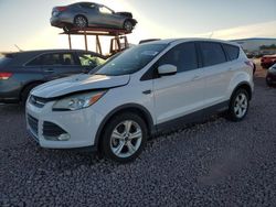 Salvage Cars with No Bids Yet For Sale at auction: 2014 Ford Escape SE