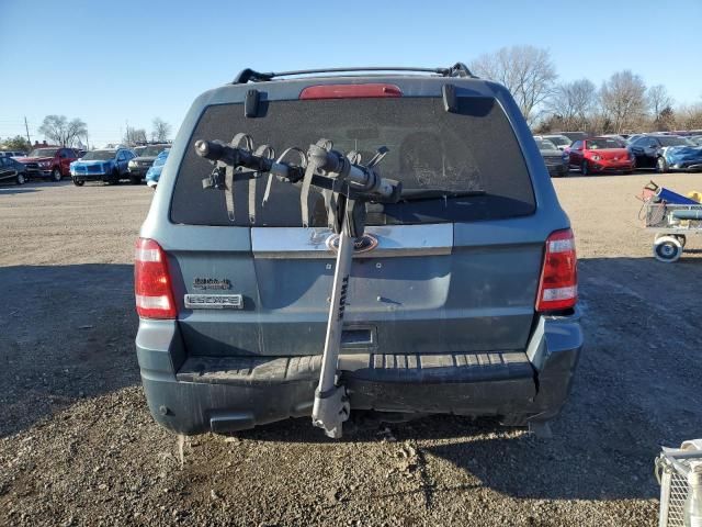 2010 Ford Escape Limited