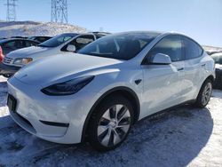 Tesla salvage cars for sale: 2022 Tesla Model Y