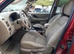 2005 Ford Escape XLT