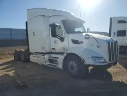 Salvage cars for sale from Copart Adelanto, CA: 2014 Peterbilt 579