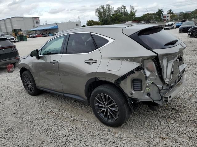 2024 Lexus NX 250 Base