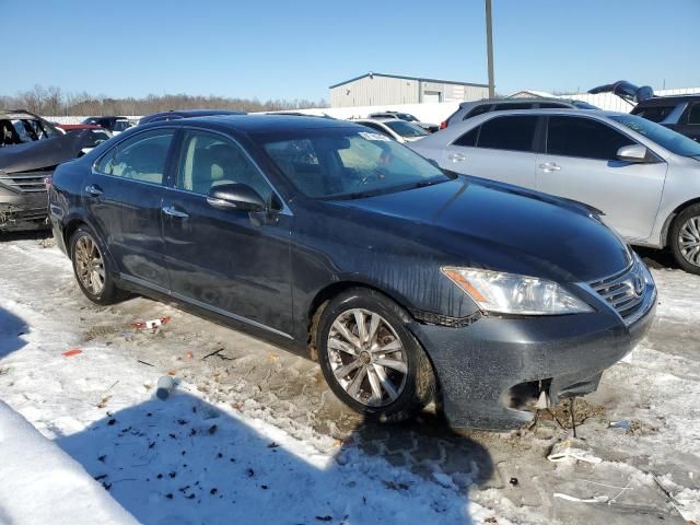 2011 Lexus ES 350