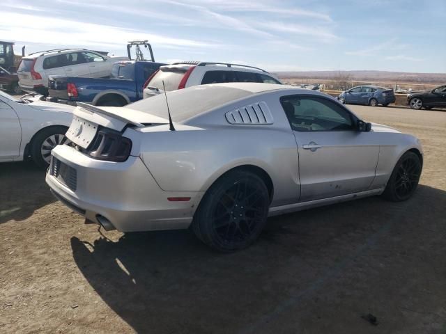 2013 Ford Mustang