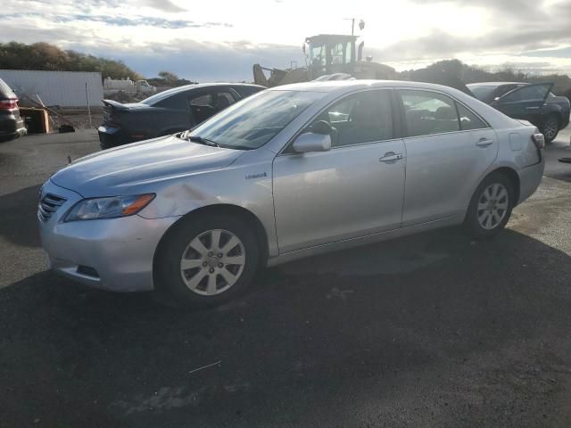 2009 Toyota Camry Hybrid