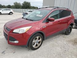 Salvage cars for sale at Apopka, FL auction: 2013 Ford Escape SE