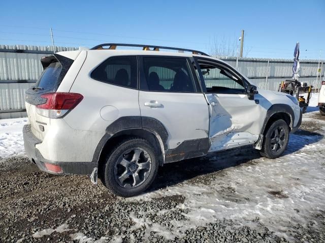 2023 Subaru Forester Wilderness