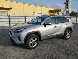 Salvage cars for sale from Copart Miami, FL: 2023 Toyota Rav4 XLE