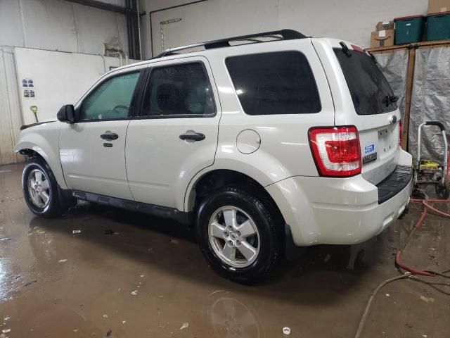 2009 Ford Escape XLT