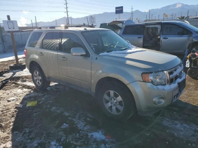 2010 Ford Escape Limited