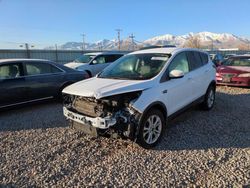 Salvage cars for sale at Magna, UT auction: 2019 Ford Escape SE