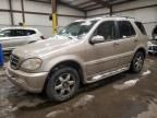 2004 Mercedes-Benz ML 500