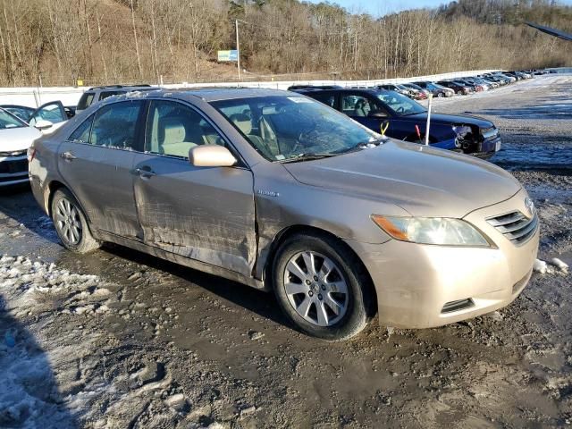 2008 Toyota Camry Hybrid