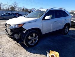 Salvage cars for sale at Walton, KY auction: 2012 KIA Sorento EX