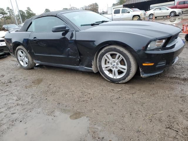 2010 Ford Mustang