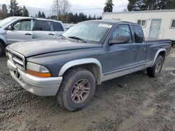 Salvage cars for sale at Graham, WA auction: 2003 Dodge Dakota SLT