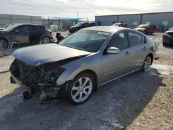 Salvage cars for sale at Arcadia, FL auction: 2008 Nissan Maxima SE