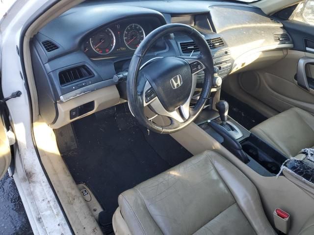 2009 Honda Accord EXL