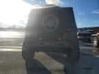 1998 Jeep Wrangler / TJ Sahara