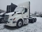 2019 Freightliner Cascadia 126