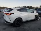 2024 Lexus NX 350 Luxury