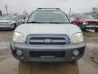 2005 Hyundai Santa FE GLS