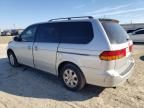 2004 Honda Odyssey EXL