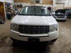 2009 Lincoln MKX