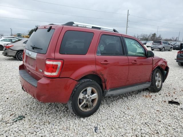 2010 Ford Escape Limited