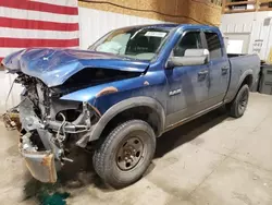 Salvage trucks for sale at Anchorage, AK auction: 2010 Dodge RAM 1500