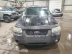 2007 Ford Escape XLT