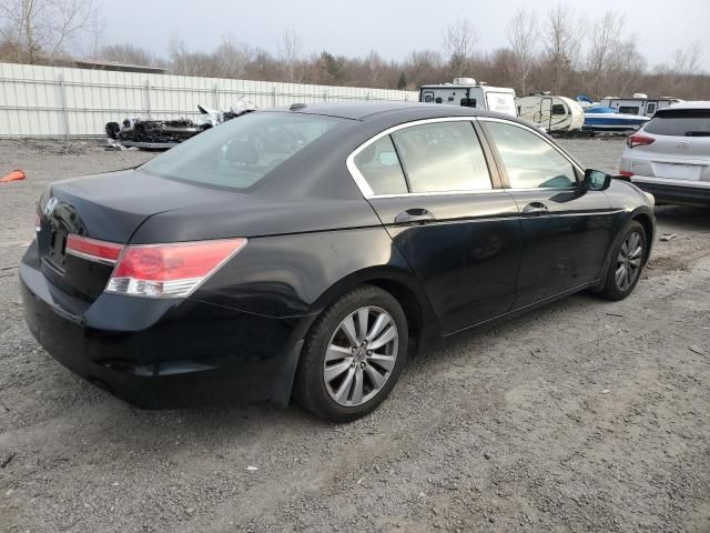 2011 Honda Accord EXL