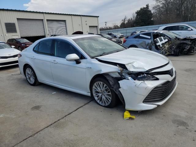 2019 Toyota Camry Hybrid