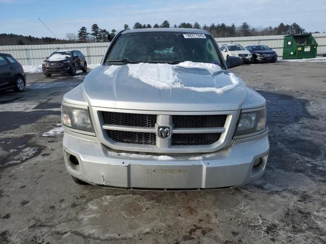 2011 Dodge Dakota SLT