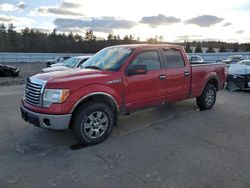 Ford salvage cars for sale: 2011 Ford F150 Supercrew