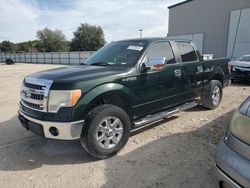 Vehiculos salvage en venta de Copart Apopka, FL: 2013 Ford F150 Supercrew