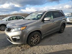 Salvage cars for sale from Copart Assonet, MA: 2012 KIA Sorento SX