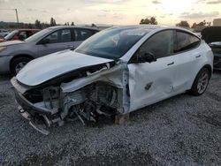 Salvage cars for sale at Mentone, CA auction: 2023 Tesla Model Y