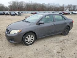 Clean Title Cars for sale at auction: 2009 Toyota Corolla Base